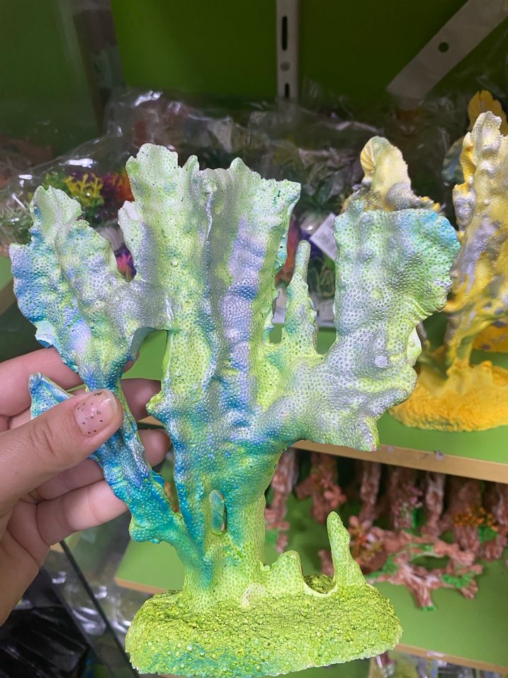 Renkli Sarı Deniz Figürü akvaryum - Görsel 2