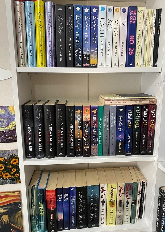 Gençlik romanları - Görsel 2