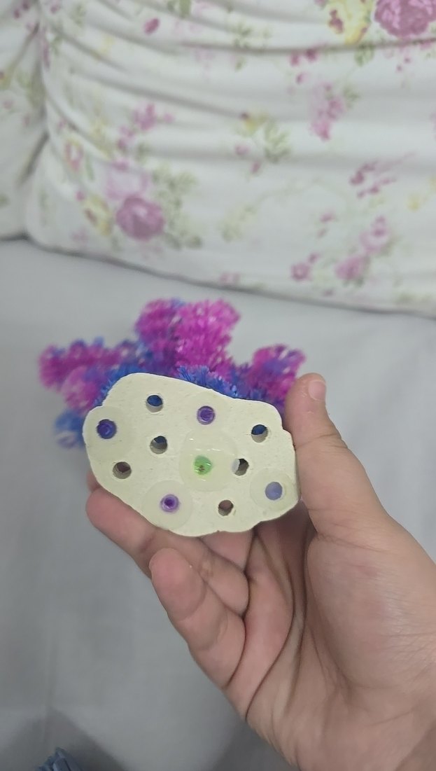 balık akvaryumu için çok güzel bir süs - Görsel 3