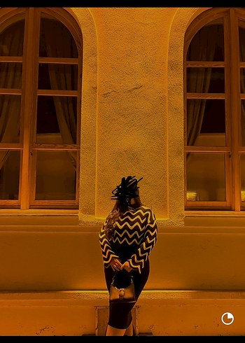 Siyah beyaz Zebra Desenli Uzun Yaka Kadın Kazak ve Triko Elbise - Görsel 2