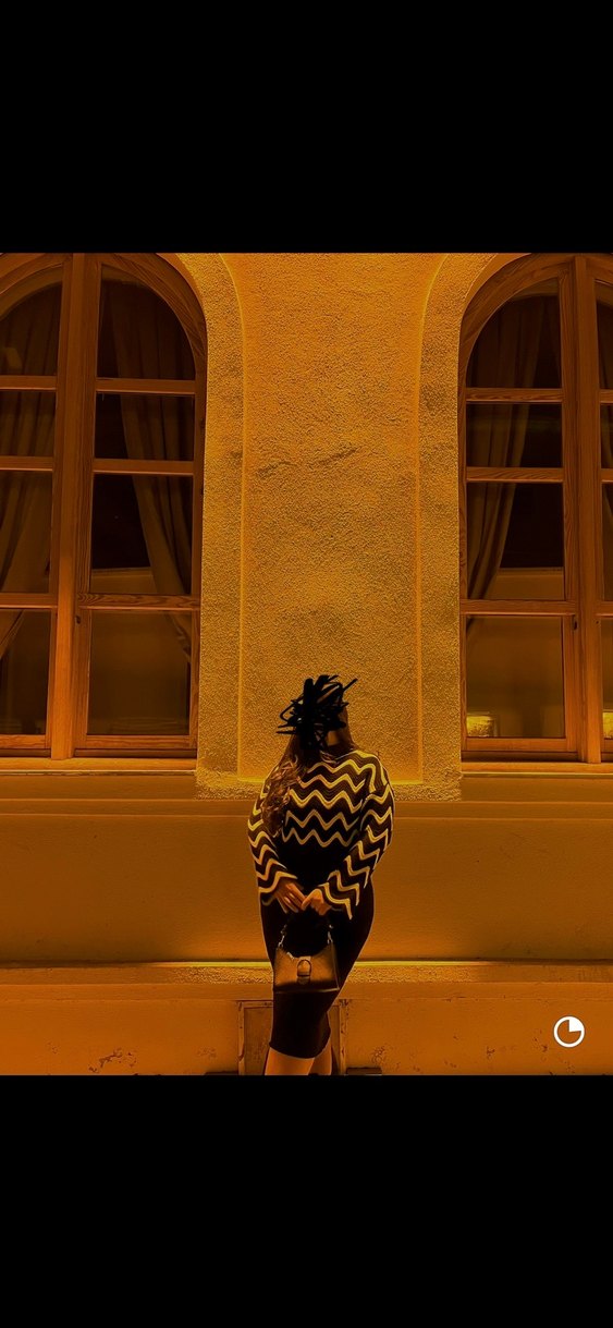 Siyah beyaz Zebra Desenli Uzun Yaka Kadın Kazak ve Triko Elbise - Görsel 2