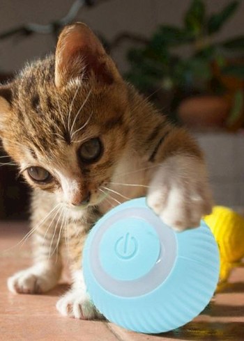 İnteraktif Kedi Köpek Şarjlı Oyun Topu - Görsel 3