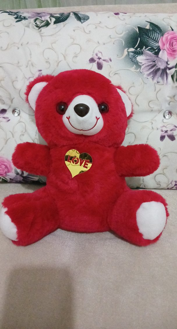 Kırmızı Peluş Ayı ve Aşk Temalı Hediye Seti - Görsel 2