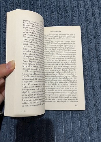 Sabahattin Ali - Kuyucaklı Yusuf - Görsel 2