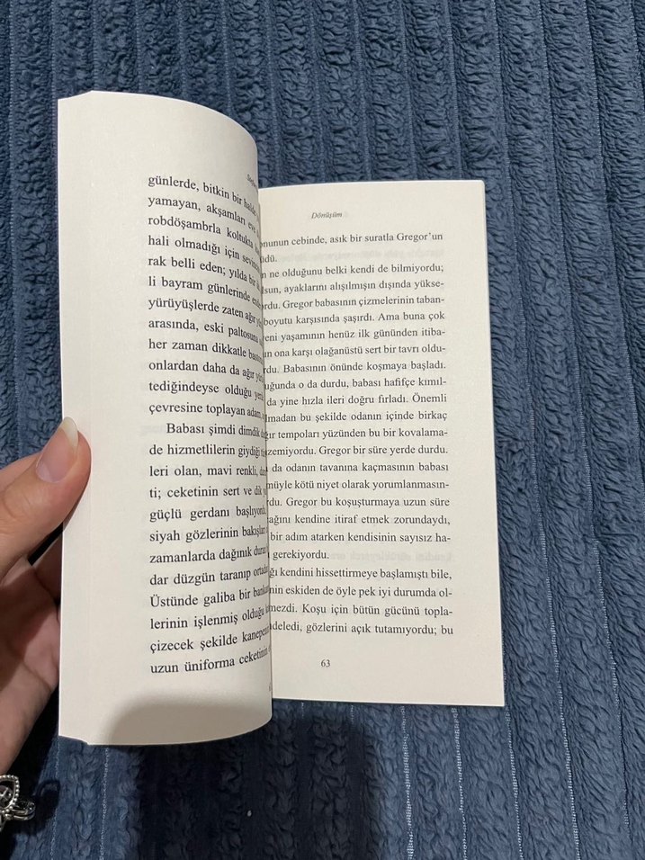 Franz Kafka - Dönüşüm Romanı - Görsel 2