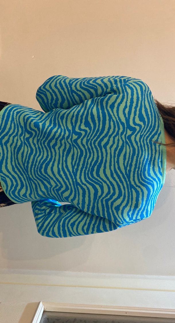 Mavi Zebra Desenli Uzun Kollu Kadın Kazak - Görsel 2