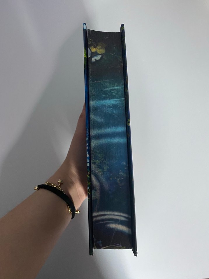 Göksen 1 - Unutulan Çiçekler Romanı - Görsel 3