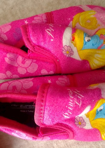 Walt Disney World 25