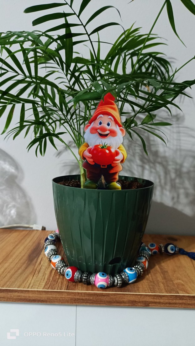 Renkli Bahçıvan Cüce Figürleri-saksi susu - Görsel 5