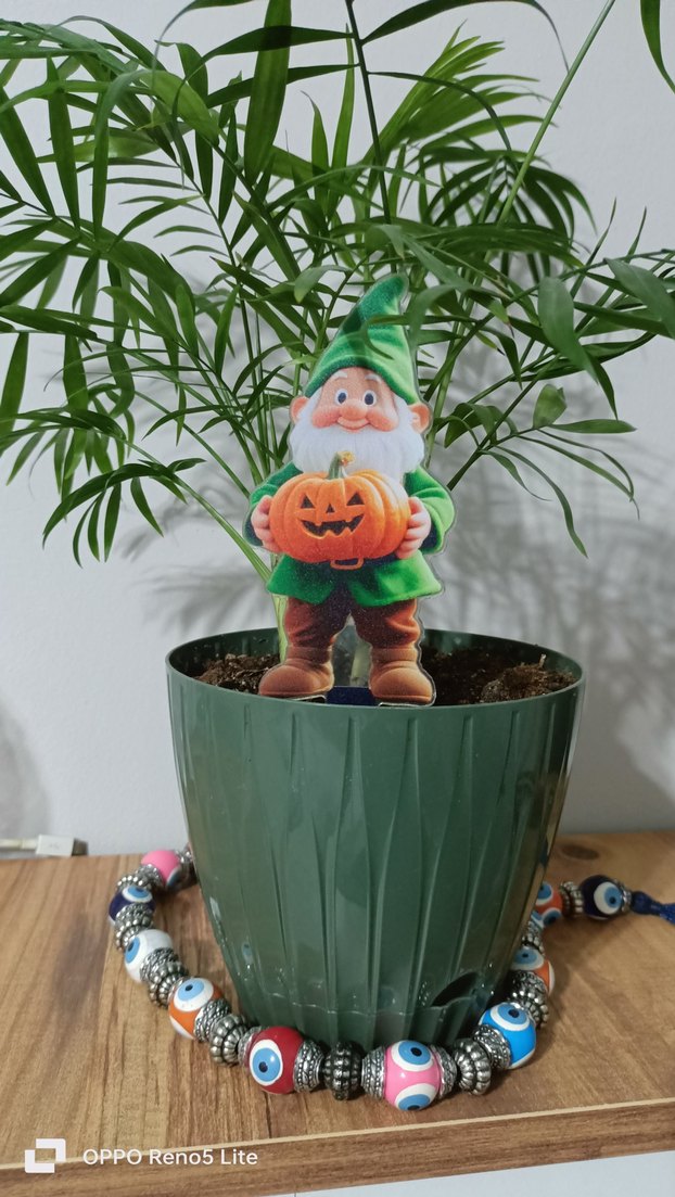 Renkli Bahçıvan Cüce Figürleri-saksi susu - Görsel 4