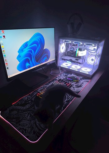 Gamebooster GB-25F320FF 24.5 300Hz 0.5ms
FastlPS Gaming Monitör - Görsel 2