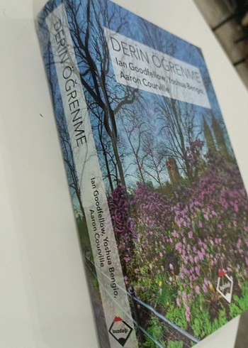 Derin Öğrenme - Ian Goodfellow, Yoshua Bengio, Aaron Courville - Görsel 3