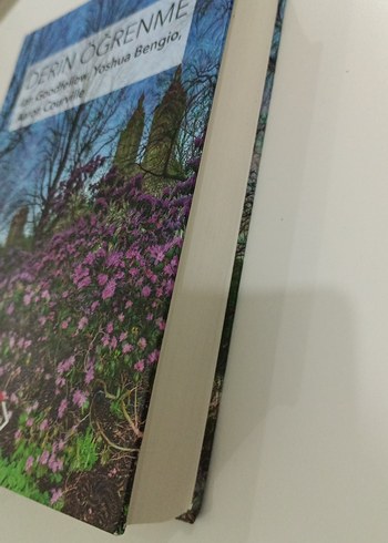 Derin Öğrenme - Ian Goodfellow, Yoshua Bengio, Aaron Courville - Görsel 2