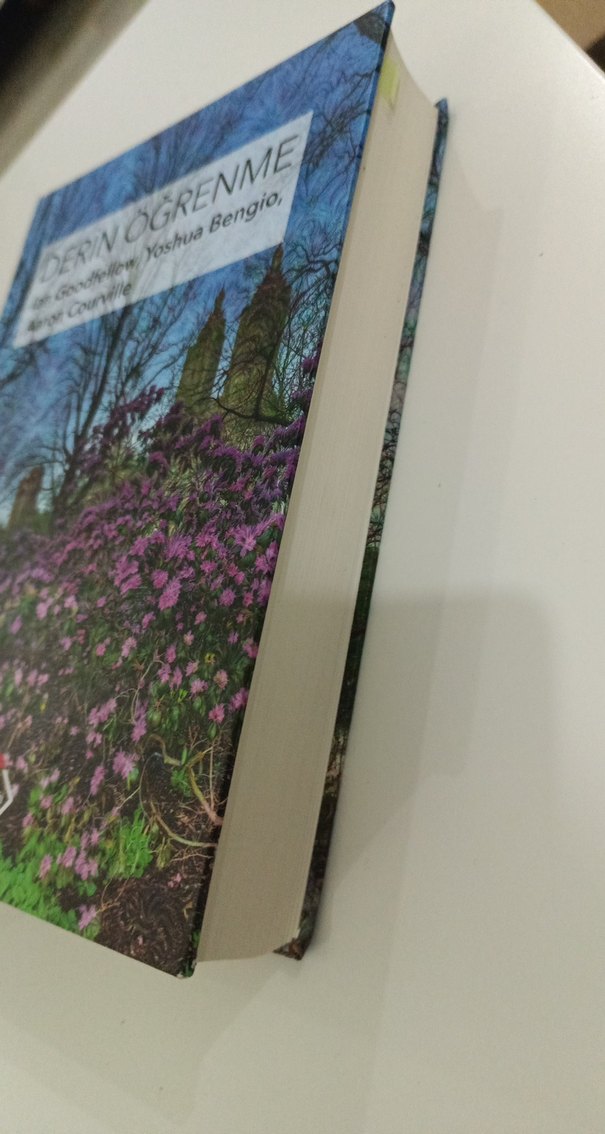 Derin Öğrenme - Ian Goodfellow, Yoshua Bengio, Aaron Courville - Görsel 2