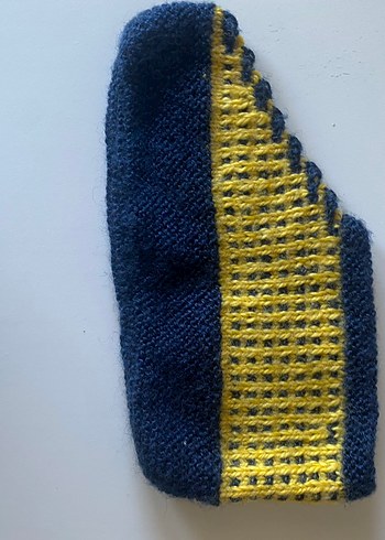 Fenerbahçeli Erkek Patik - Görsel 2