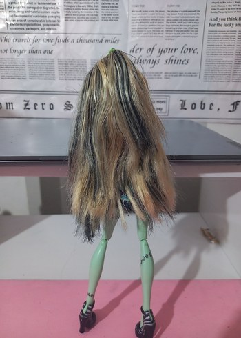 basic frankie monster high - Görsel 2
