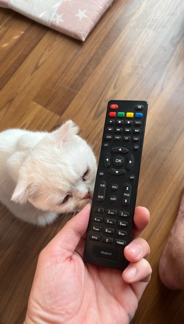 Uydu Alıcısı Kumandası Siyah - Görsel 4