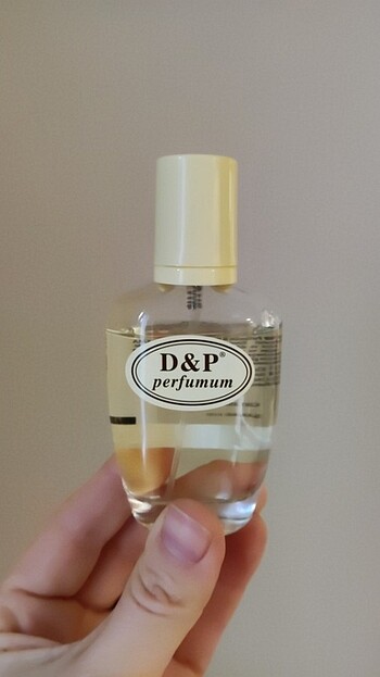 D&P edp