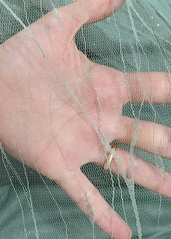 Şeffaf Detaylı Mini Vintage Abiye Elbise - Görsel 4