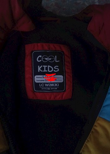 Kapüşonlu Çok Renkli Erkek Çocuk Mont - Görsel 6