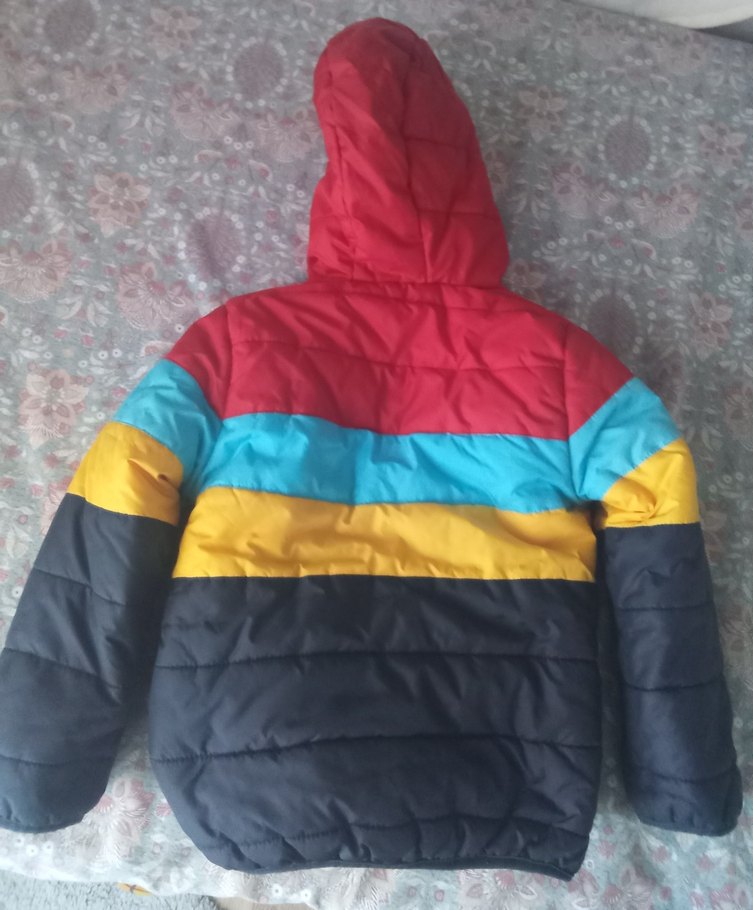 Kapüşonlu Çok Renkli Erkek Çocuk Mont - Görsel 3