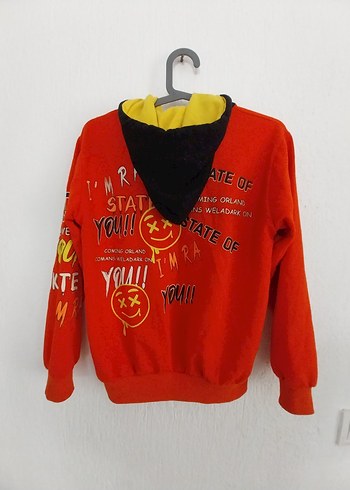Kızıl Renkli Baskılı Kapüşonlu Sweatshirt - Görsel 2