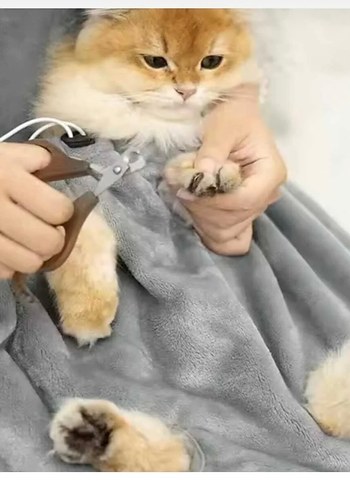 Gri Evcil Hayvan Bakım ve Taşıma Önlüğü - Görsel 3