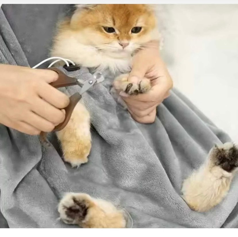 Gri Evcil Hayvan Bakım ve Taşıma Önlüğü - Görsel 3