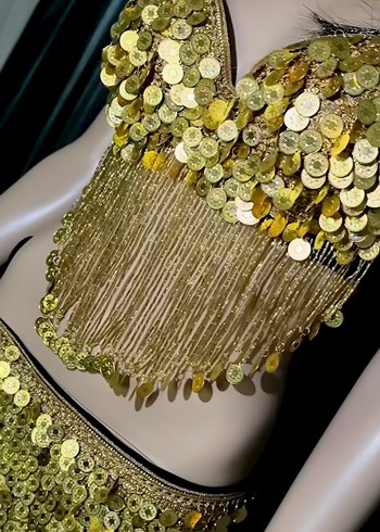 Dansöz kıyafet - Görsel 4