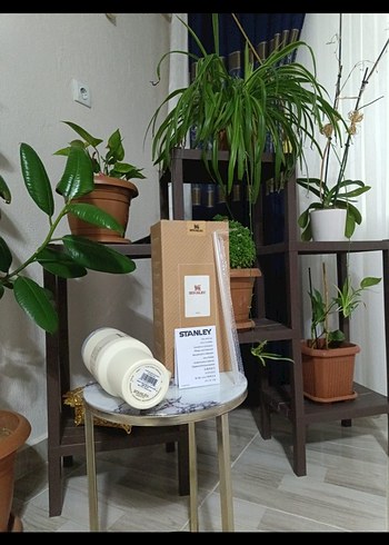 Stanley Beyaz Termos Bardak - Görsel 5