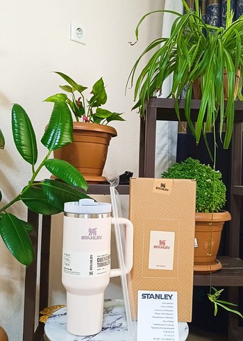 Stanley pudra Termos Bardak - Görsel 3