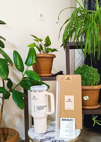 Stanley pudra Termos Bardak - Görsel 2