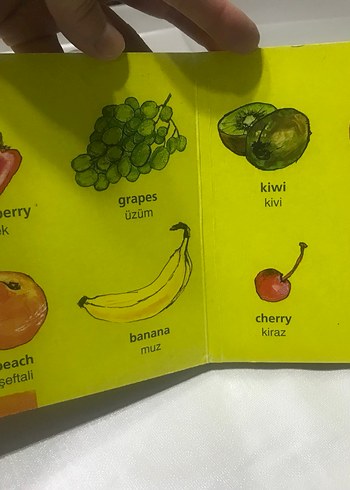 Mini Resimli İngilizce-Türkçe kitap - Görsel 4