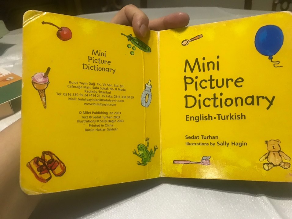 Mini Resimli İngilizce-Türkçe kitap - Görsel 2
