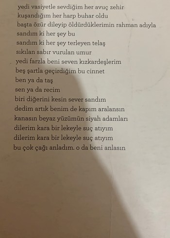 Hasar Ayini - Seyyidhan Kömürcü - Görsel 2