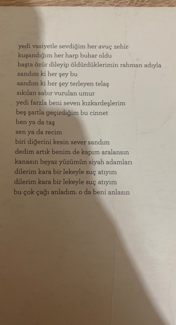 Hasar Ayini - Seyyidhan Kömürcü - Görsel 2