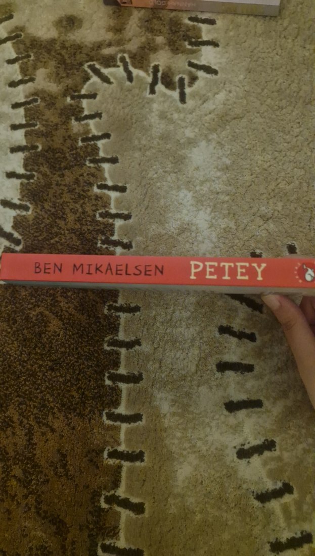 Petey - Ben Mikaelsen - Görsel 3