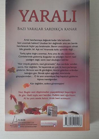 Vezir Gambiti, Yaralı - Görsel 4