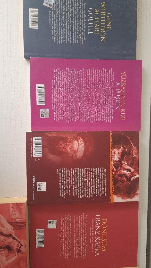 Klasik Roman Seti 10 lu - Görsel 5