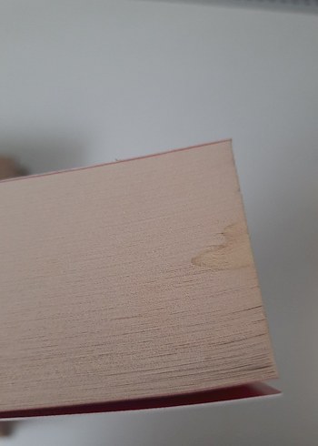 Malorie, Vampirin Asistanı, Carol Gömülmeden, Parazit,Veliahtlar - Görsel 11