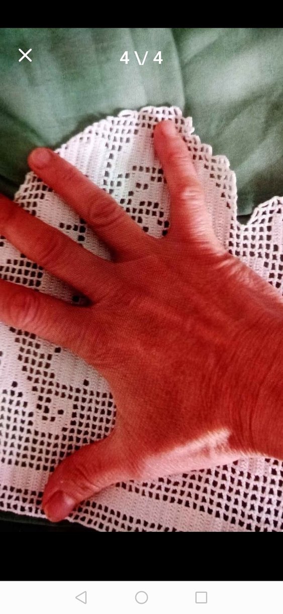 6metre. 3parça herbiri 2mt DANTEL - Görsel 4