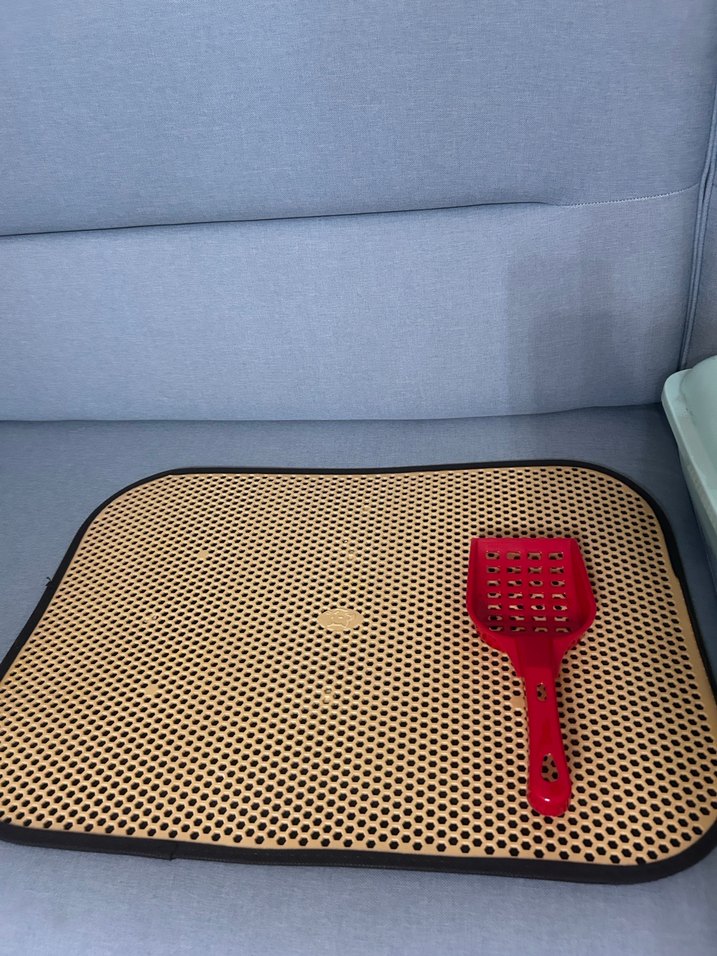 Kırmızı Kürekli Gri Kedi Tuvalet Kabı - Görsel 3