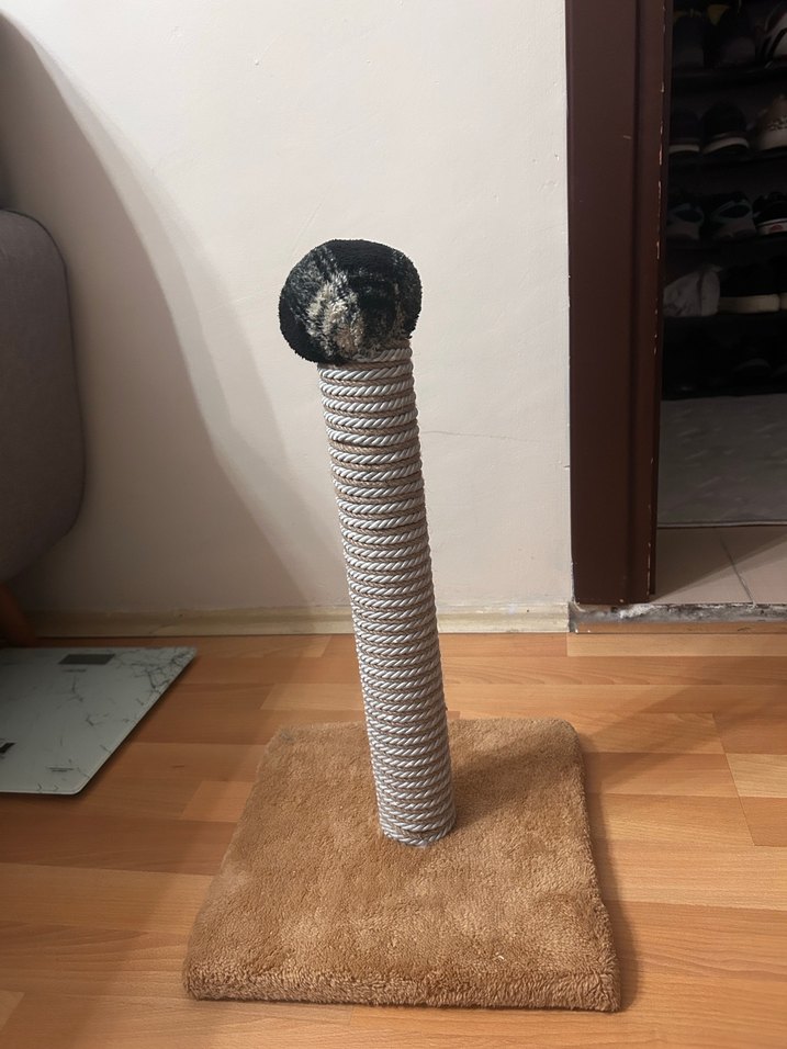 Kedi Tırmanma Aparatı - Görsel 2