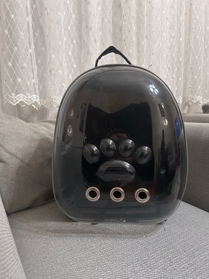 Bordo Deri Fermuarlı Kedi Taşıma çantası - Görsel 4