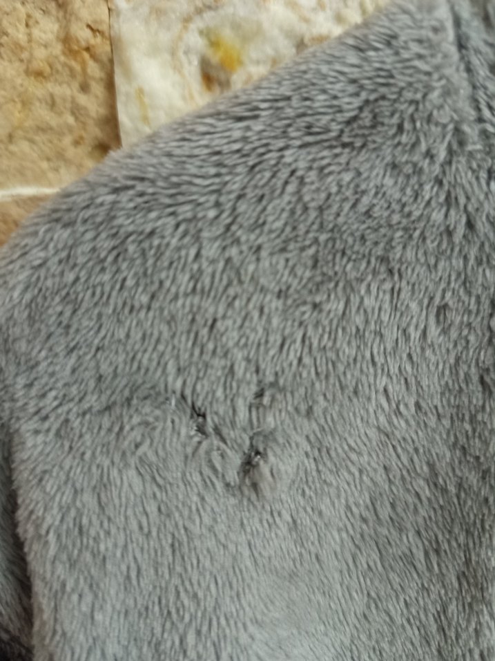 Düğmeli Gri Kısa Eşofman Üstü - Görsel 5