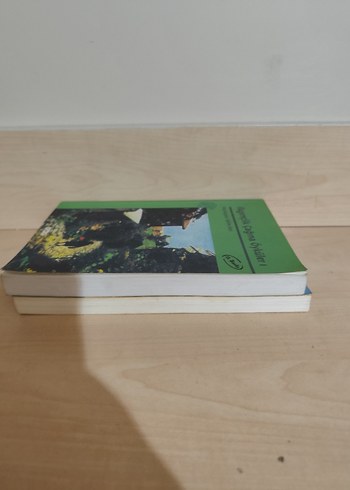 İlkgençlik Çağına Öyküler 1 & Yeşil Kiraz 2 - Görsel 2