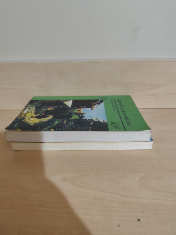 İlkgençlik Çağına Öyküler 1 & Yeşil Kiraz 2 - Görsel 2