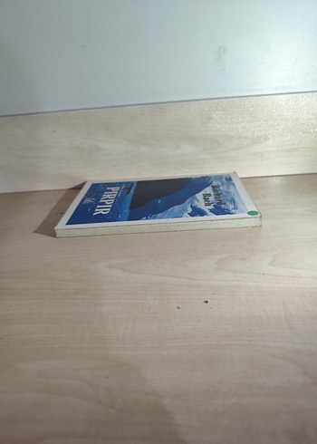 Richard Bach - Pirpir Şiir Kitabı - Görsel 2