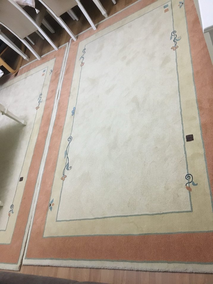 Bej Düz Desenli Klasik Halı - Görsel 3