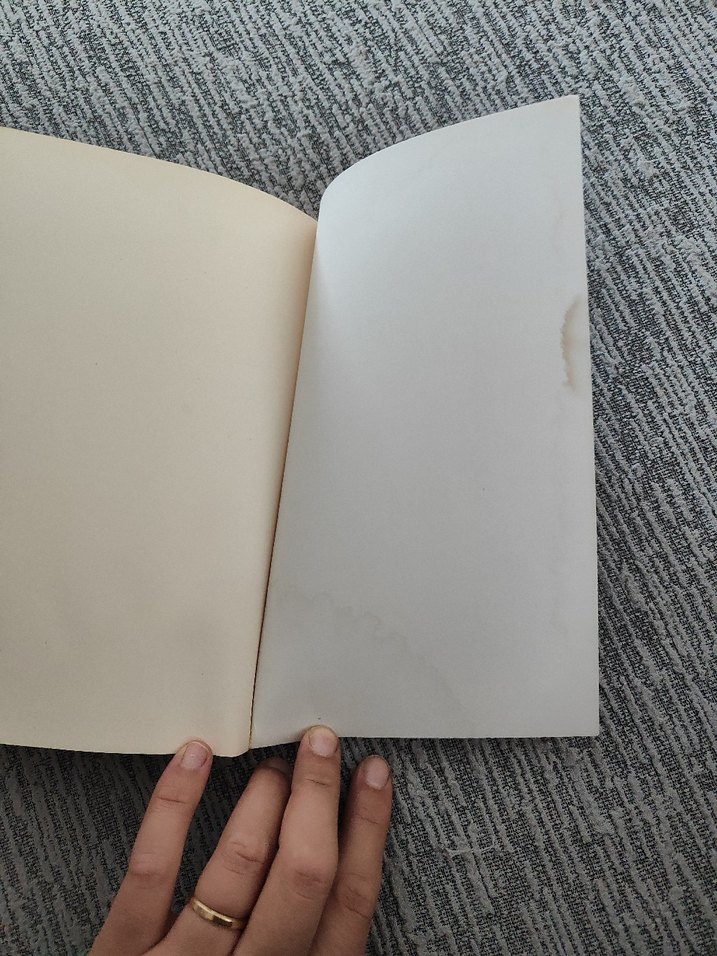 Kanunsuz - Dennis Lehane - Görsel 2